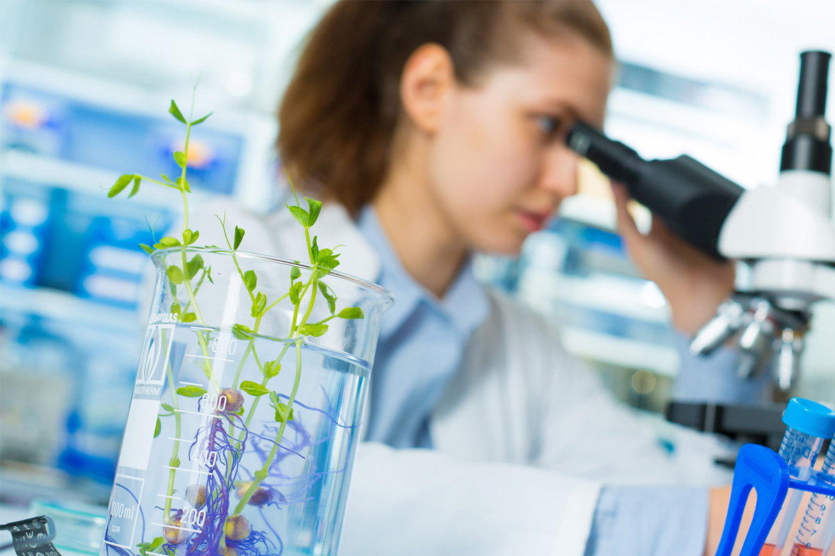 Sample preparation equipment