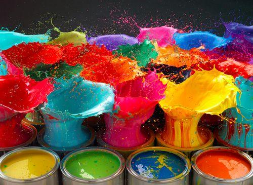 animal test rooms furniture