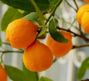 Paint testing equipments