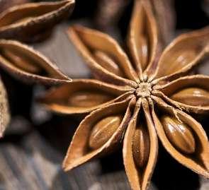 Bursting strength tester